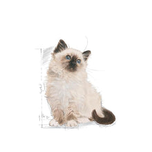 Load image into Gallery viewer, Royal Canin Kitten Second Age Pellet Cat Food, Seafood Flavor, 2 kg
