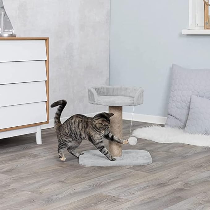 Petstreet Activity Kitten Cat Tree - Hanging Ball | Top Seat | Jute Rope Scratching Post (Height 16 Inch) Grey |