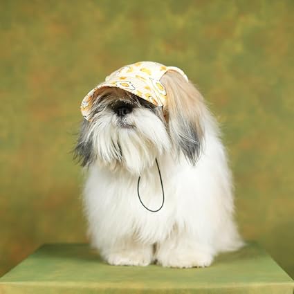 Unleash Cotton Dog Cap - Outdoor Sport Sun Protection Baseball Cap for Male & Female Dogs |Color May Vary |