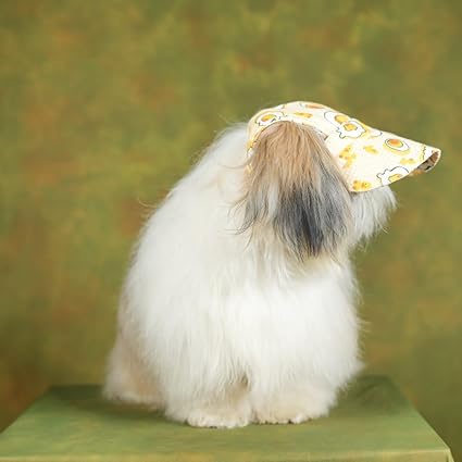 Unleash Cotton Dog Cap - Outdoor Sport Sun Protection Baseball Cap for Male & Female Dogs |Color May Vary |