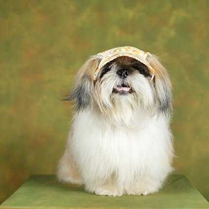 Unleash Cotton Dog Cap - Outdoor Sport Sun Protection Baseball Cap for Male & Female Dogs |Color May Vary |