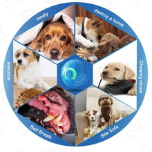 Load image into Gallery viewer, Automatic Rolling Smart LED Bouncing Ball for Cats and Small to Medium Dogs Rechargeable Interactive Vibrating, 2 Modes, Obstacle Avoiding Cat Chasing Silicone Toy
