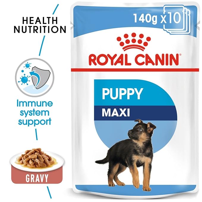 Royal Canin - Maxi - Puppy in Gravy, Pack of 10
