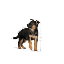 Load image into Gallery viewer, Royal Canin - Maxi - Puppy in Gravy, Pack of 10
