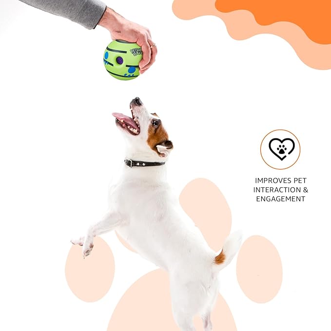 Petstreet Interactive Sound Ball Toy for Dogs and Puppies| Large |