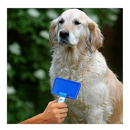 Hair Slicker Brush for Grooming & Cleaning Shedding Hair For Dogs |