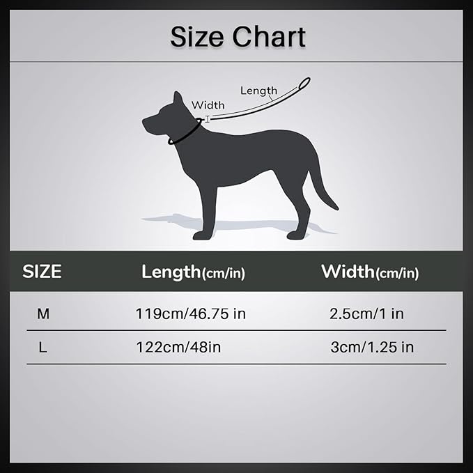 Petaholic Soft Athletica Leash For Dogs