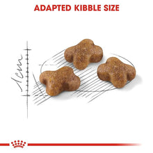 Load image into Gallery viewer, Royal Canin Kitten Second Age Pellet Cat Food, Seafood Flavor, 2 kg
