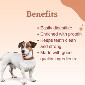 Dogaholic Superbone Chicken Knotted Bone 9 in 1 Dog Treat for Dogs It's 100% Natural & Safe (Peanut Butter)