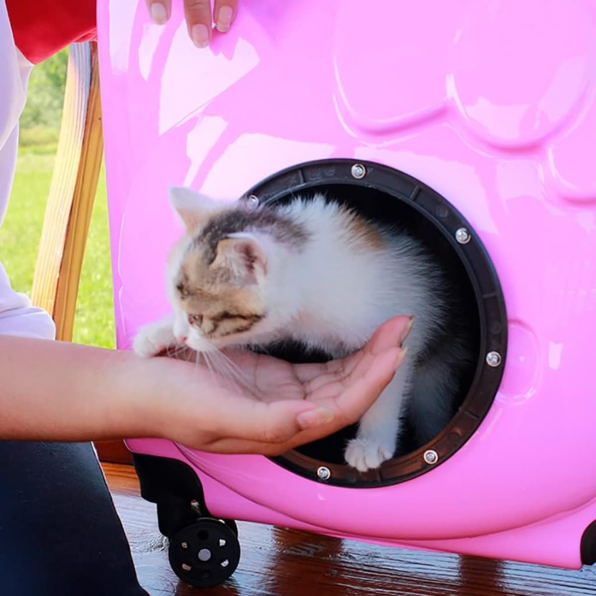 Petstreet Trolley Carrier Stroller Wheels Suitcase for Small Dogs and Cats | 18 Inch |