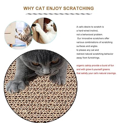 Petstreet 2-in-1 Reversible Cat Scratcher Cardboard Bed & Lounge