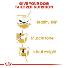 Load image into Gallery viewer, Royal Canin Pug Adult, 1.5 kg, Pack of 1

