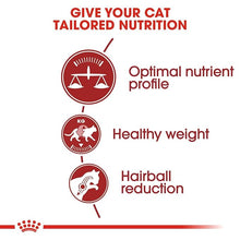 Load image into Gallery viewer, Royal Canin Fit 32 Adult Dry Cat Food 4 kg
