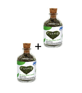 Catnip For Cats and Kittens