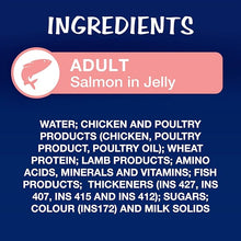 Load image into Gallery viewer, Purina Felix As Good As It Looks Wet Food for Adult Cats|Complete and Balanced Cat Food |Salmon Flavour|Pack of 12 Pouches (12 x 85 g)
