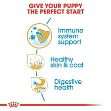 Load image into Gallery viewer, Royal Canin Shih Tzu Puppy Dry Dog Food, Meat Flavor, 1.5 Kg ,Pack of 1
