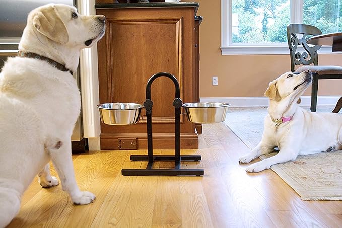 Stainless Steel Double Diner Food Bowl Stand For Dog Adjustable With 2 Bowls 1600 ML |