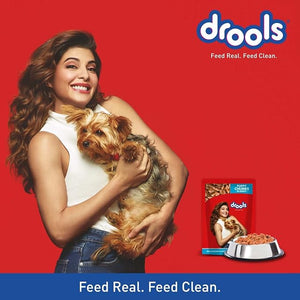 Drools Puppy Chunks in Gravy