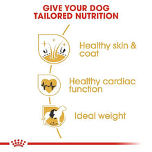 Load image into Gallery viewer, Royal Canin - Golden Retriever - Adult
