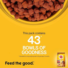 Load image into Gallery viewer, Pedigree Adult - Meat &amp; Rice Dog Dry Food
