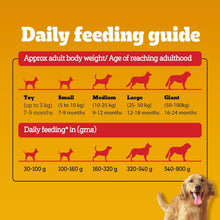 Load image into Gallery viewer, Pedigree Adult - 100% Vegetarian Dog Dry Food
