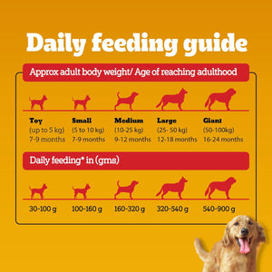 Pedigree Adult - 100% Vegetarian Dog Dry Food