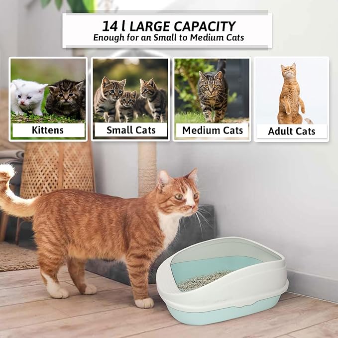 Premium Cat Litter Box Tray with Scooper (Light Green - Medium) (49x38x22cm)