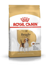 Load image into Gallery viewer, Royal Canin Pellet Beagle Adult Dog Food, Meat Flavour, 3 KG,Pack of 1
