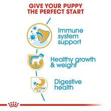 Load image into Gallery viewer, Royal Canin Labrador Retriever Puppy Dry Dog Food 3 Kg Meat Flavour Pack of 1
