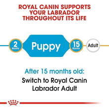 Load image into Gallery viewer, Royal Canin Labrador Retriever Puppy Dry Dog Food 3 Kg Meat Flavour Pack of 1
