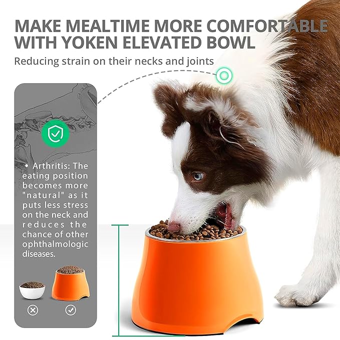 Melamine & Stainless Steel Elevated Bowl with Anti-Skid Base - Medium 520ml