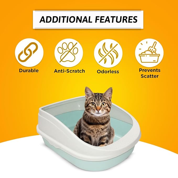 Premium Cat Litter Box Tray with Scooper (Light Green - Medium) (49x38x22cm)