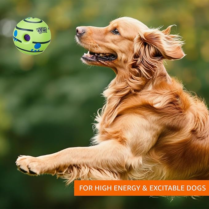 Petstreet Interactive Sound Ball Toy for Dogs and Puppies| Large |
