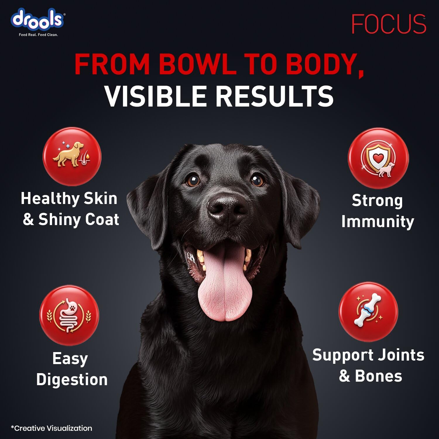 Drools Focus Adult Dog Food 1.2kg | Complete & Balanced Dry Dog Food | High Protein Nutrition | Healthy Digestion | Strong Bones & Immunity | Adult Dog Food for All Breeds