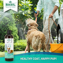 Load image into Gallery viewer, Basil Anti-Itch Shampoo Anti Dandruff
