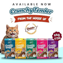 Load image into Gallery viewer, Gnawlers Crunchy &amp; Tender Cat Treats 65g Tuna Flavour

