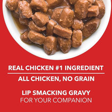 Load image into Gallery viewer, Drools Puppy Chunks in Gravy
