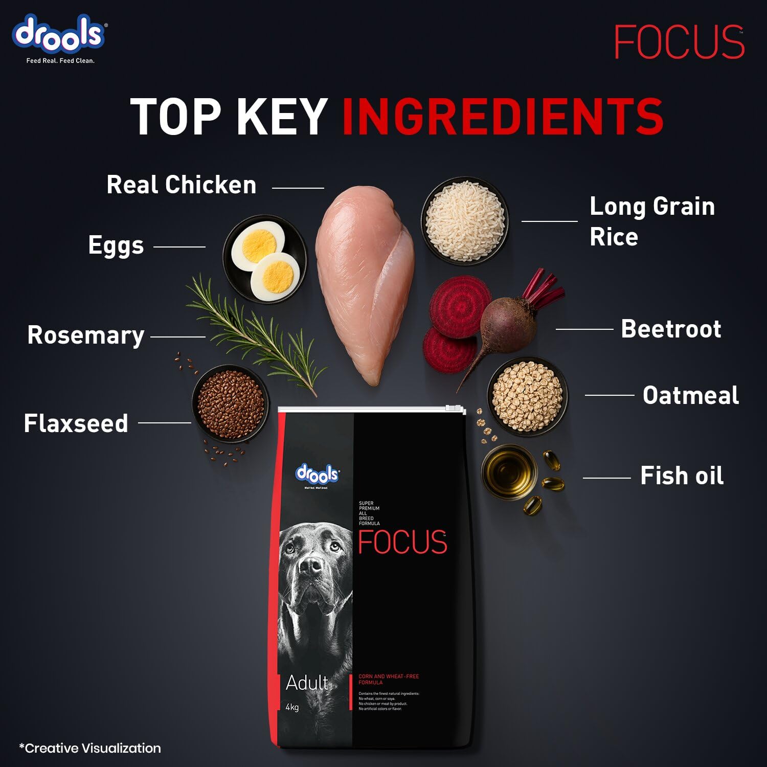 Drools Focus Adult Dog Food 1.2kg | Complete & Balanced Dry Dog Food | High Protein Nutrition | Healthy Digestion | Strong Bones & Immunity | Adult Dog Food for All Breeds