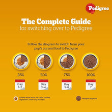 Load image into Gallery viewer, Pedigree Adult - Chicken &amp; Liver Chunks in Gravy
