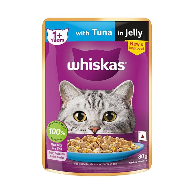 Cat Food