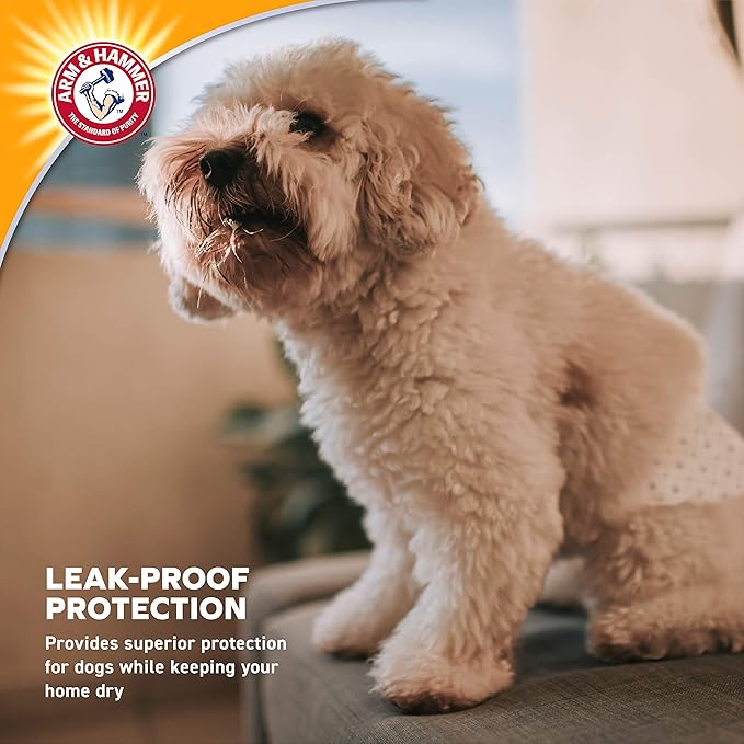 Arm & Hammer Ultra-Absorbent, Adjustable Male Dog Diapers with Leak-Proof Protection | 12 Ct |