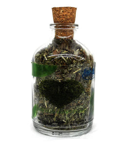 Catnip For Cats and Kittens