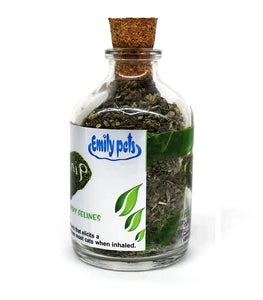 Catnip For Cats and Kittens