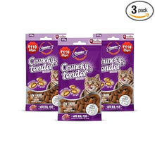 Load image into Gallery viewer, Gnawlers Crunchy &amp; Tender Cat Treats 65g Salmon Flavour

