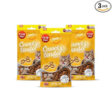 Load image into Gallery viewer, Gnawlers Crunchy &amp; Tender Cat Treats 65g - Tasty Chicken Flavour
