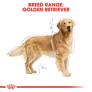 Royal Canin - Golden Retriever - Adult