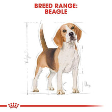 Load image into Gallery viewer, Royal Canin Pellet Beagle Adult Dog Food, Meat Flavour, 3 KG,Pack of 1
