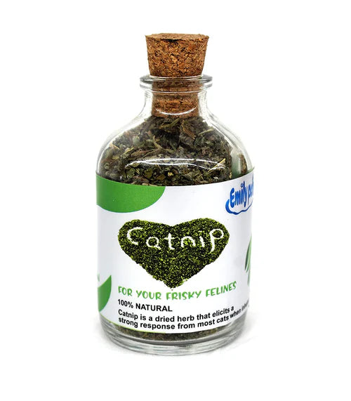 Catnip For Cats and Kittens