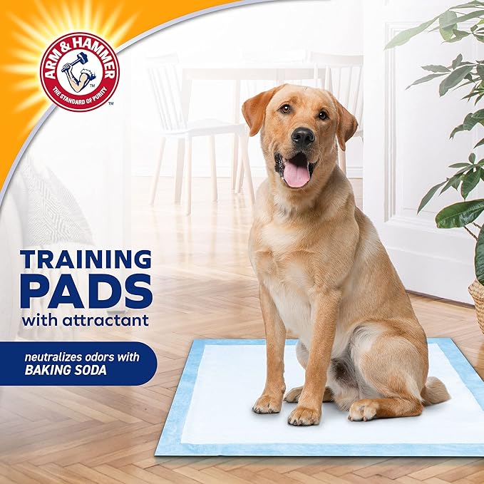 Arm & Hammer Puppy Training Pads with Attraction, Leak-Proof and Odor Control,(100 Pads) (57.1cm x 57.1cm)