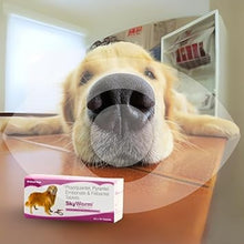 Load image into Gallery viewer, Skyworm Dog Dewormer Praziquantel Pyrantel Febantel
